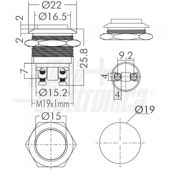 Pulsante antivandalo 1P OFF/(ON) N.A. 2 terminali a vite foro 19mm IP65 - immagine 3