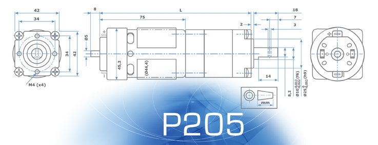 P205.24.100 Motoriduttore EPICICLOIDALE 24V 41/32 rpm - immagine 2