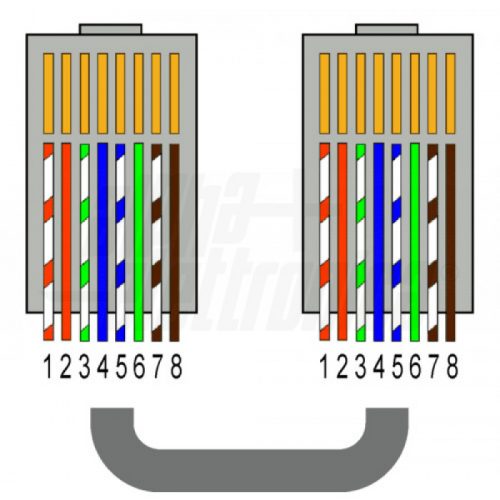 Mr. Tronic Connettori Rj45 Cat 6  100 Connettore Plug Cat 6 8P8C Plug Rj45  Cat 6 Modulare a Crimpare per Cavo Ethernet Cat 6, Cavo Connettore Ethernet  Rj45 (100 Pezzi, Cat6 STP) : : Informatica