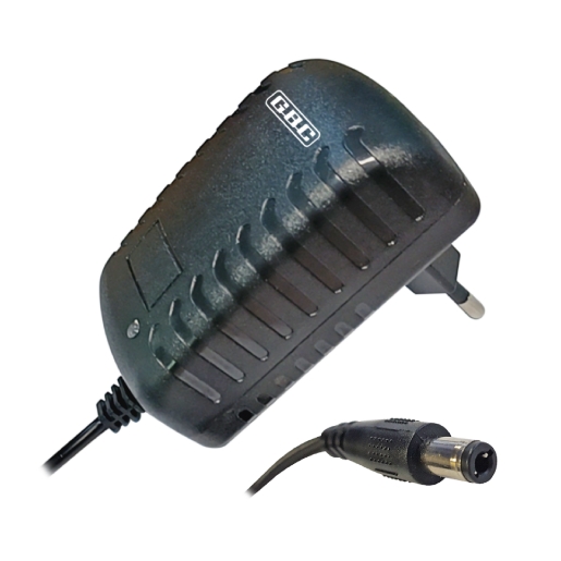 Alimentatore 24V 1A 24W per usi generali Spinotto 5,5mm x 2,5 e 2,1mm