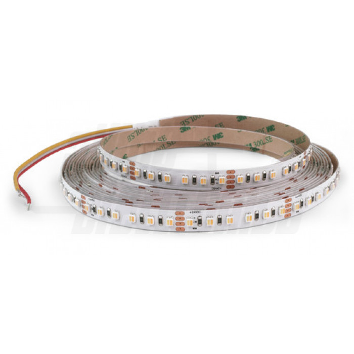 Striscia Led 120 Led/m 3528 24Vdc 19,2W/m - CCT regolabile 3000-6000K