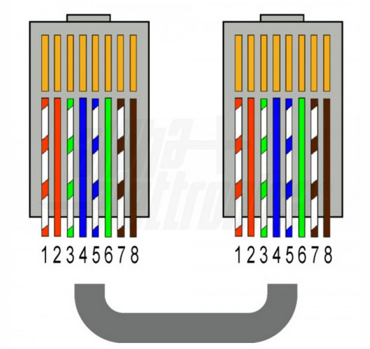 Spina RJ45 8P8C Cat.5e non schermata - chiusura a pressione - immagine 3