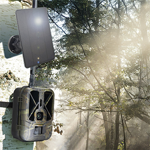 GreenHouse P13 Pannello solare con batteria integrata per fototrappola - immagine 2