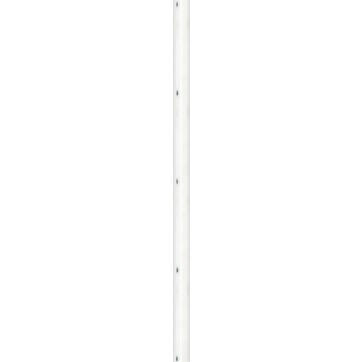 Striscia led 220V COB 5m IP65 15W/m 6500K 1540lm/m